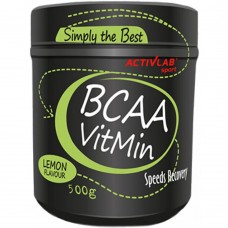 BCAA VITMIN 500 гр ActivLab